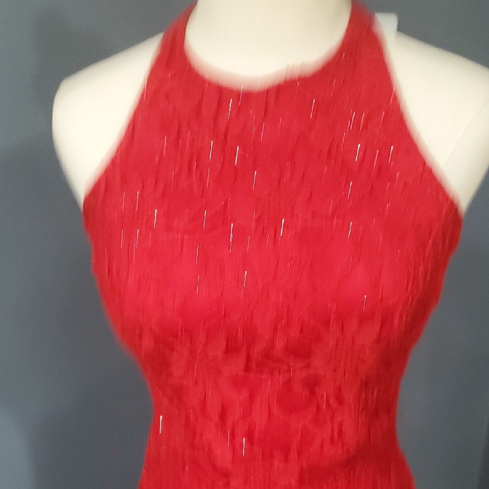 City Triangles Elegant Red Lace Maxi Dress - Picture 9 of 16